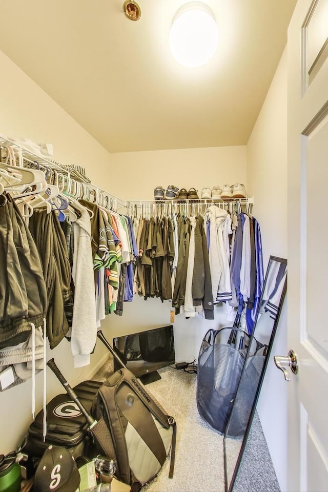 301 Alpine Springs Dr, Vernon Hills, IL 60061 - photo 6