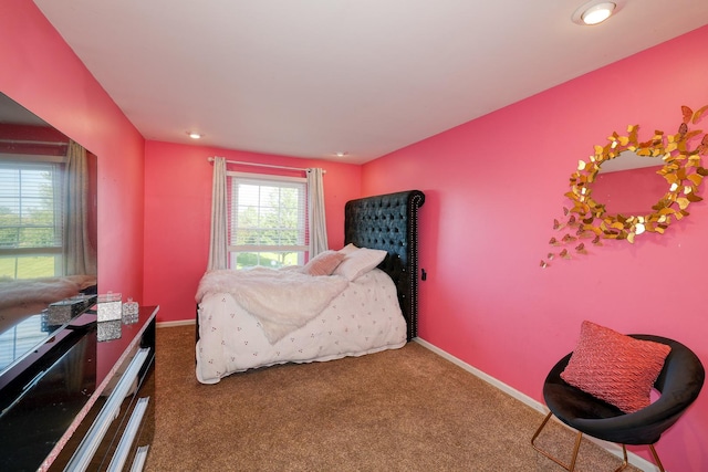 4579 Half Moon Dr Unit D, Yorkville, IL 60560 - photo 20