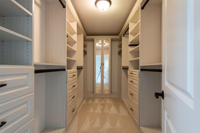 392 Spruce Rd, Wood Dale, IL 60191 - spacious closet featuring light colored carpet
