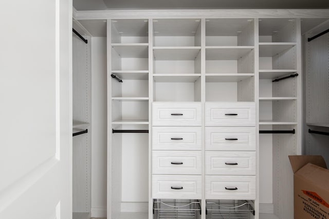 392 Spruce Rd, Wood Dale, IL 60191 - view of spacious closet