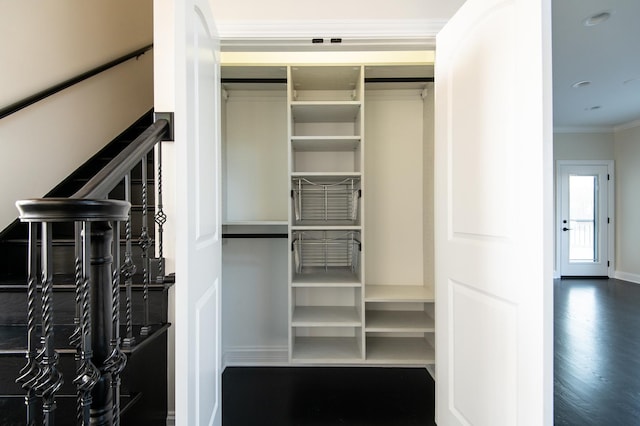 392 Spruce Rd, Wood Dale, IL 60191 - view of closet