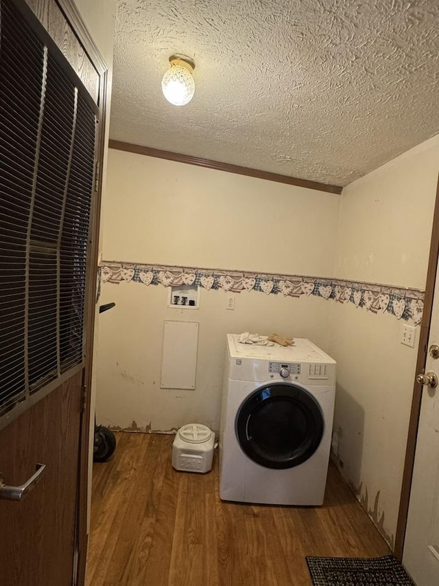 810 Harding Ave, Gillespie, IL 62033 - laundry area featuring washer / clothes dryer, a textured ceiling, and wood finished floors