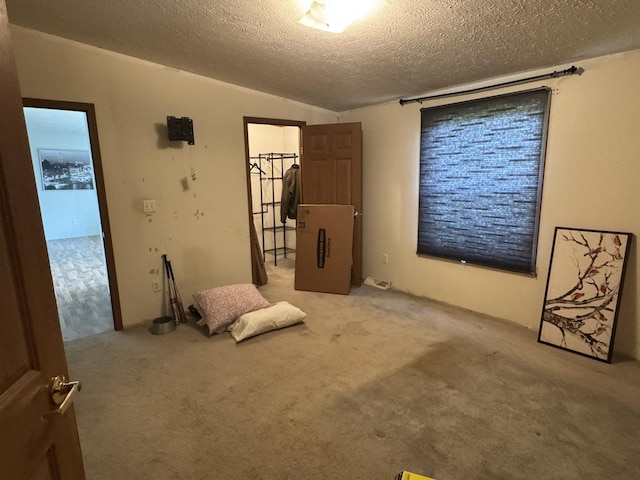 810 Harding Ave, Gillespie, IL 62033 - unfurnished room featuring carpet and a textured ceiling