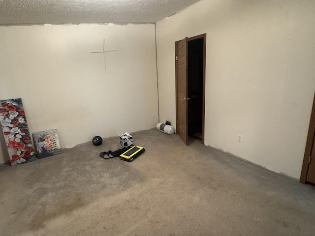 810 Harding Ave, Gillespie, IL 62033 - carpeted empty room featuring a textured ceiling
