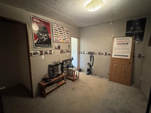 810 Harding Ave, Gillespie, IL 62033 - interior space featuring a textured ceiling and carpet