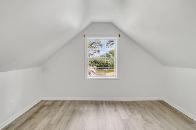 41607 N Lotus Ave, Antioch, IL 60002 - bonus room with lofted ceiling and light wood-type flooring