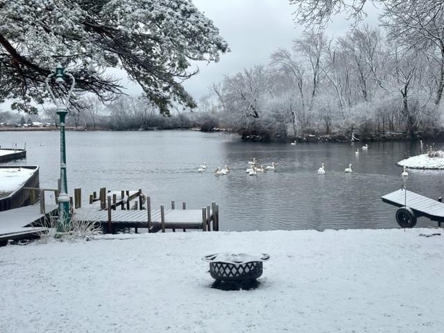 41607 N Lotus Ave, Antioch, IL 60002 - dock featuring a water view