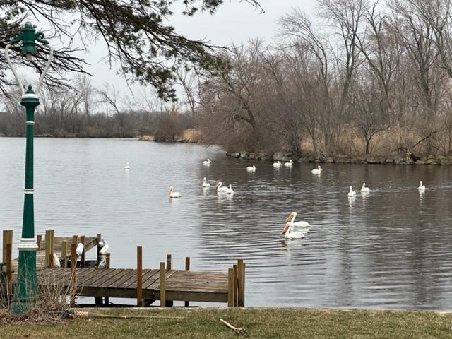 41607 N Lotus Ave, Antioch, IL 60002 - dock area featuring a water view