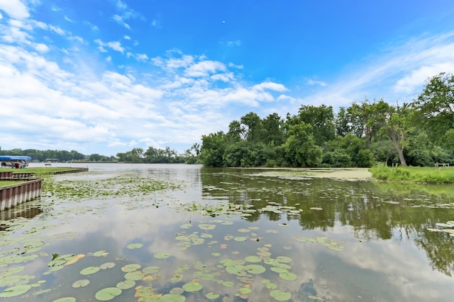 41607 N Lotus Ave, Antioch, IL 60002 - water view
