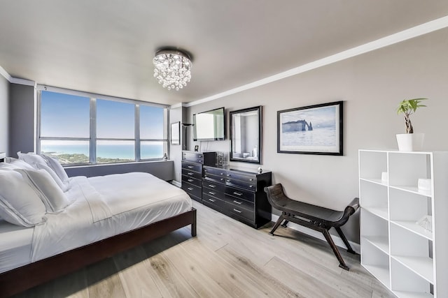 655 W Irving Park Rd Unit 5506, Chicago, IL 60613 - photo 16