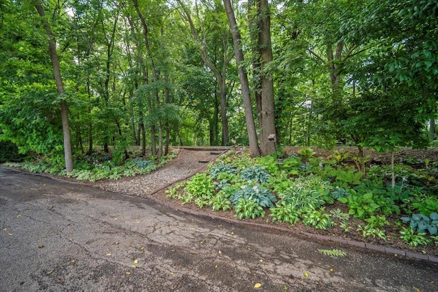 903 N Linden St Unit 131, Normal, IL 61761 - view of local wilderness