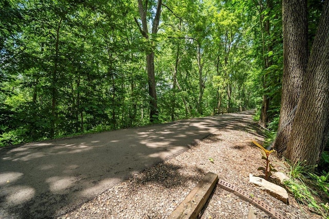 903 N Linden St Unit 131, Normal, IL 61761 - view of street with a forest view