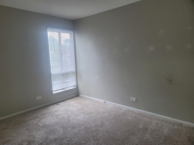 248 Waverly Dr, Elgin, IL 60120 - photo 5