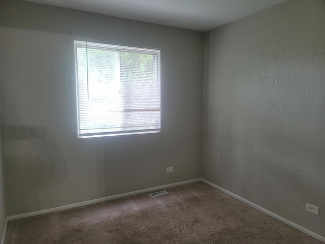 248 Waverly Dr, Elgin, IL 60120 - photo 7
