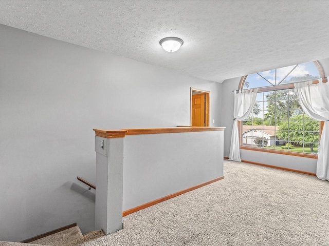 316 Harwich Pl, Rockton, IL 61072 - corridor with an upstairs landing, carpet, and a textured ceiling