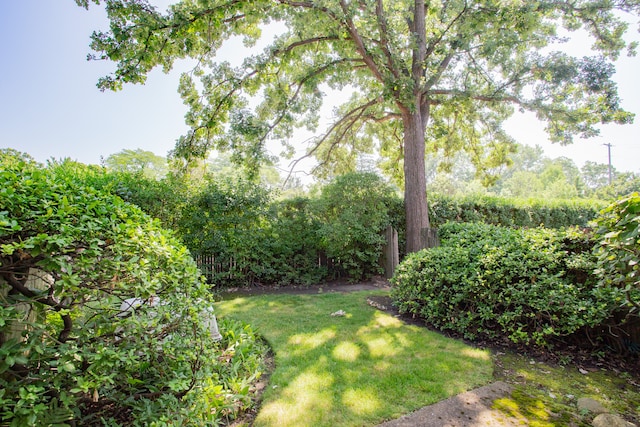 590 Green Bay Rd, Glencoe, IL 60022 - view of yard