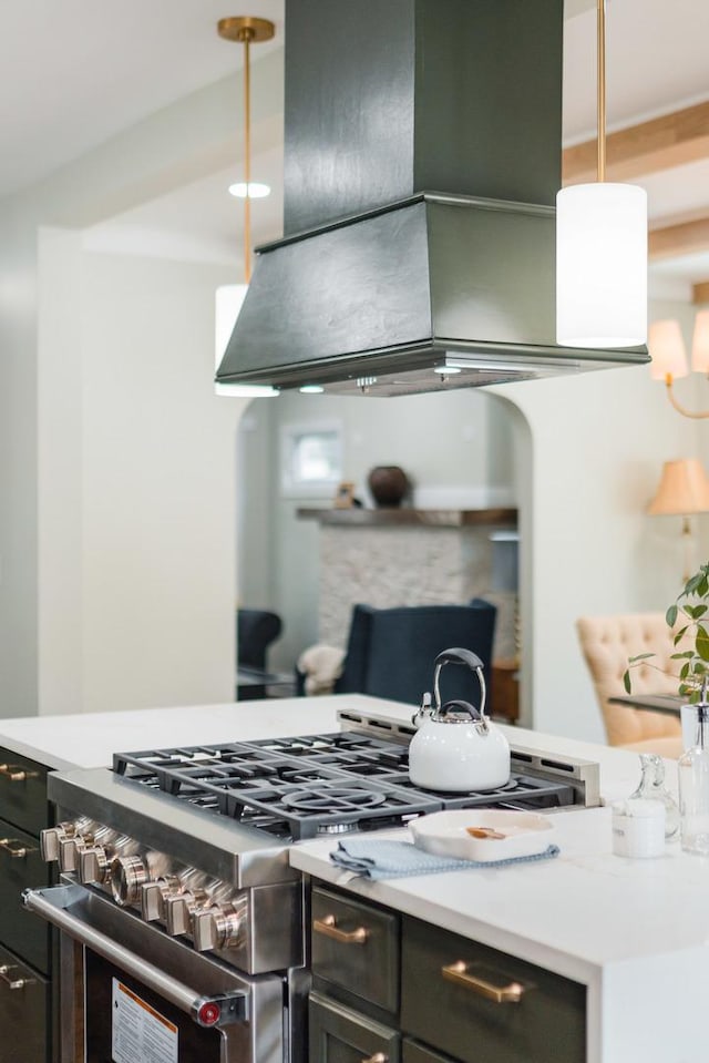 605 Home Ave, Oak Park, IL 60304 - kitchen featuring stainless steel range, island range hood, light countertops, and a fireplace