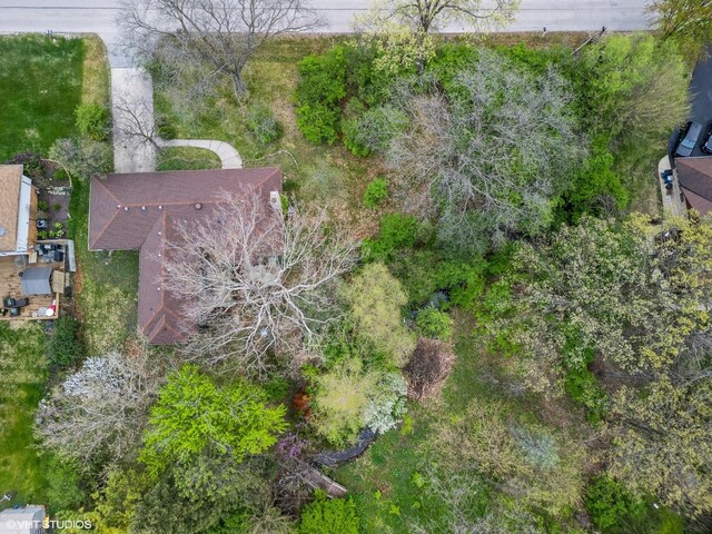 3950 Downers Dr, Downers Grove, IL 60515 - photo 34