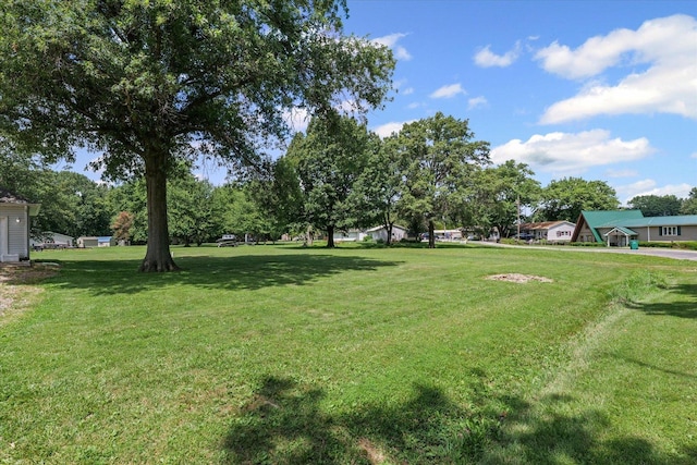 21 County Road 1200 N, Neoga, IL 62447 - view of grassy yard