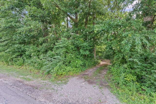 21 County Road 1200 N, Neoga, IL 62447 - view of road