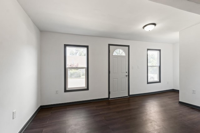 1213 W Fourth St, Dixon, IL 61021 - foyer featuring healthy amount of natural light and dark wood-style flooring