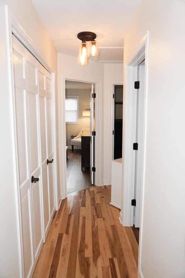 4452 N Newland Ave, Harwood Heights, IL 60706 - corridor featuring light wood finished floors