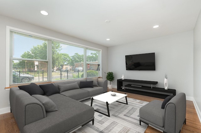 1203 W 110th St, Chicago, IL 60643 - living area featuring recessed lighting and wood finished floors