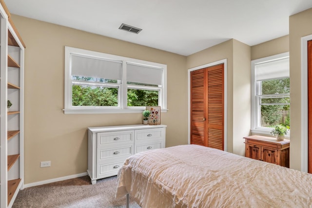 137 School St, Grayslake, IL 60030 - bedroom with carpet floors and a closet