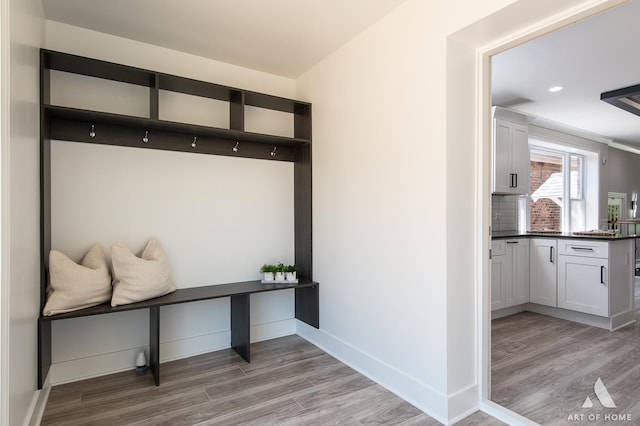 7945 S Avalon Ave, Chicago, IL 60619 - mudroom featuring light wood-style floors and recessed lighting