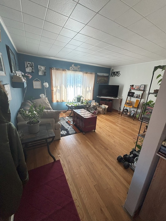 4304 N Oriole Ave, Norridge, IL 60706 - living room featuring crown molding and wood finished floors