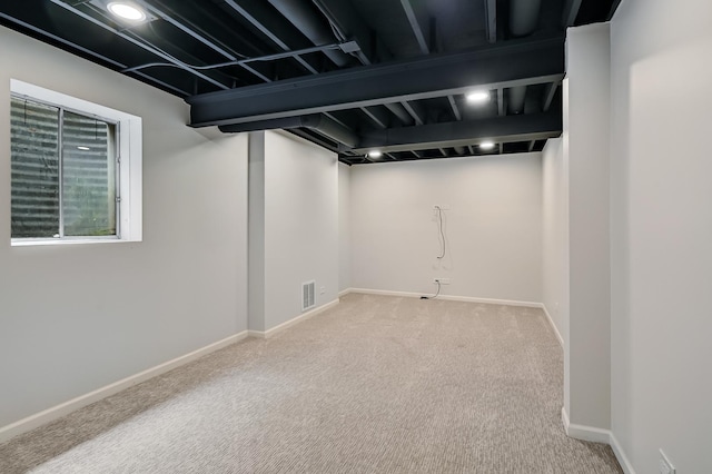 1501 Pine View Ct, Darien, IL 60561 - below grade area featuring carpet floors