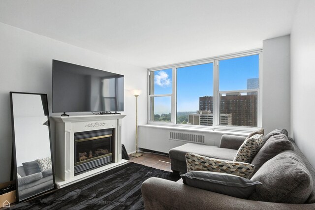 4250 N Marine Dr Unit 1912, Chicago, IL 60613 - living area featuring a glass covered fireplace and radiator heating unit