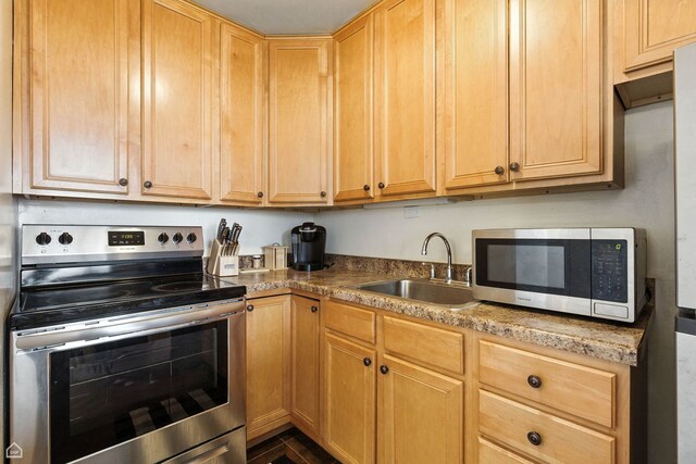 4250 N Marine Dr Unit 1912, Chicago, IL 60613 - kitchen featuring appliances with stainless steel finishes and light brown cabinetry