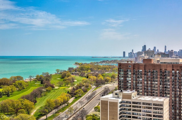 4250 N Marine Dr Unit 1912, Chicago, IL 60613 - drone / aerial view of city skyline and a large body of water
