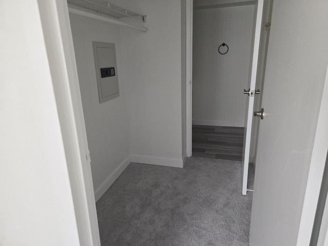 220 S Roselle Rd Unit 308, Schaumburg, IL 60193 - spacious closet with carpet floors and electric panel