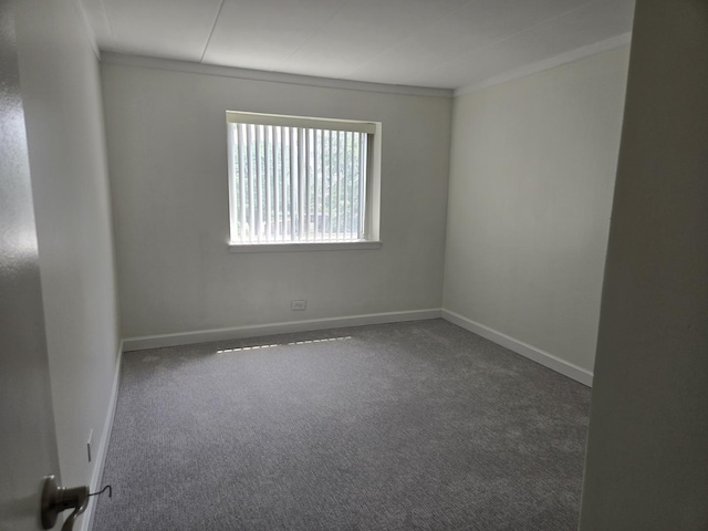 220 S Roselle Rd Unit 308, Schaumburg, IL 60193 - unfurnished room featuring carpet floors and ornamental molding