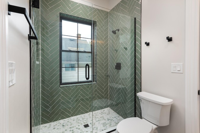 223 Center St, Naperville, IL 60540 - full bathroom featuring toilet and a shower stall