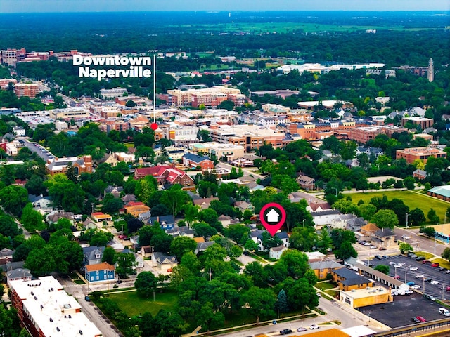 223 Center St, Naperville, IL 60540 - drone / aerial view