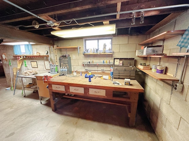 919 S Vermillion St, Streator, IL 61364 - below grade area with a workshop area