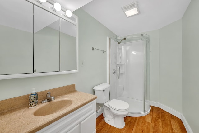 300 Village Ln, Seneca, IL 61360 - bathroom with wood finished floors, vanity, and an enclosed shower
