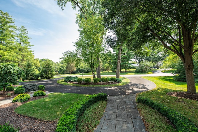 60 S Wynstone Dr, North Barrington, IL 60010 - photo 4