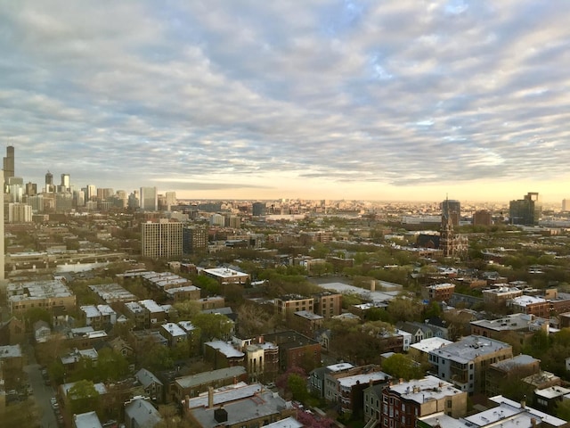 1850 N Clark St Unit 2706, Chicago, IL 60614 - aerial view at dusk of a city view