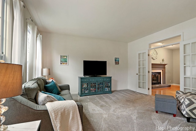 768 Wexford Ct, Grayslake, IL 60030 - living room featuring carpet flooring and a glass covered fireplace