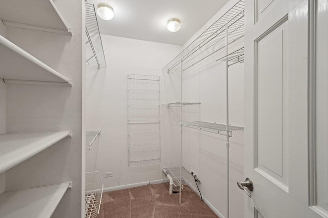 129 Kainer Ave, Barrington, IL 60010 - walk in closet with carpet