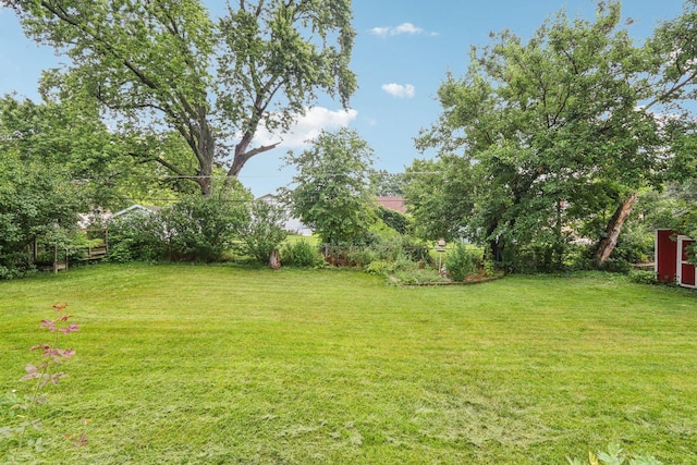 602 Daisy Ln, Round Lake Beach, IL 60073 - view of grassy yard featuring an outbuilding
