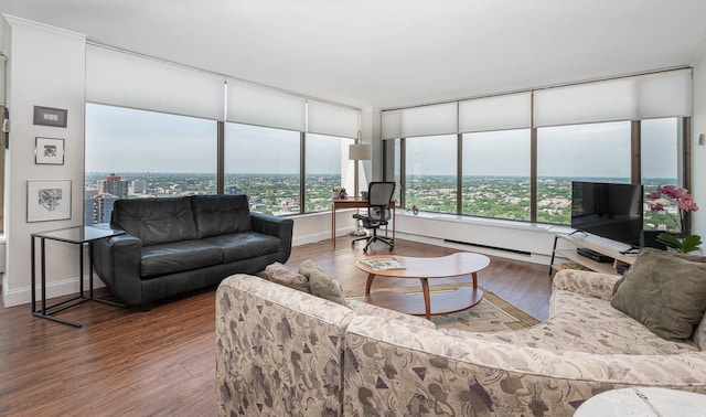 5455 N Sheridan Rd Unit 3512, Chicago, IL 60640 - living room featuring wood finished floors and a baseboard radiator