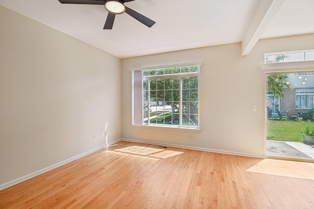 1644 Windward Ave, Naperville, IL 60563 - photo 7