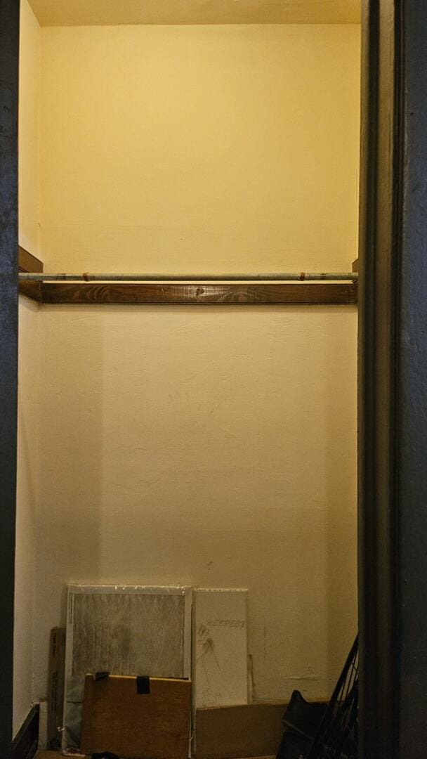 2536 S Avers Ave, Chicago, IL 60623 - view of closet
