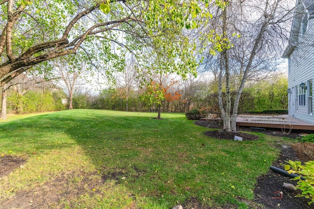 5660 Piikoi Ln, Libertyville, IL 60048 - photo 49