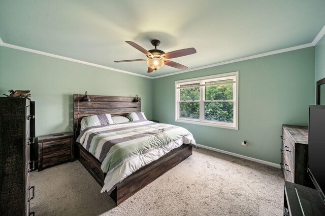 2113 Lolo Pass Dr, Plainfield, IL 60586 - photo 9